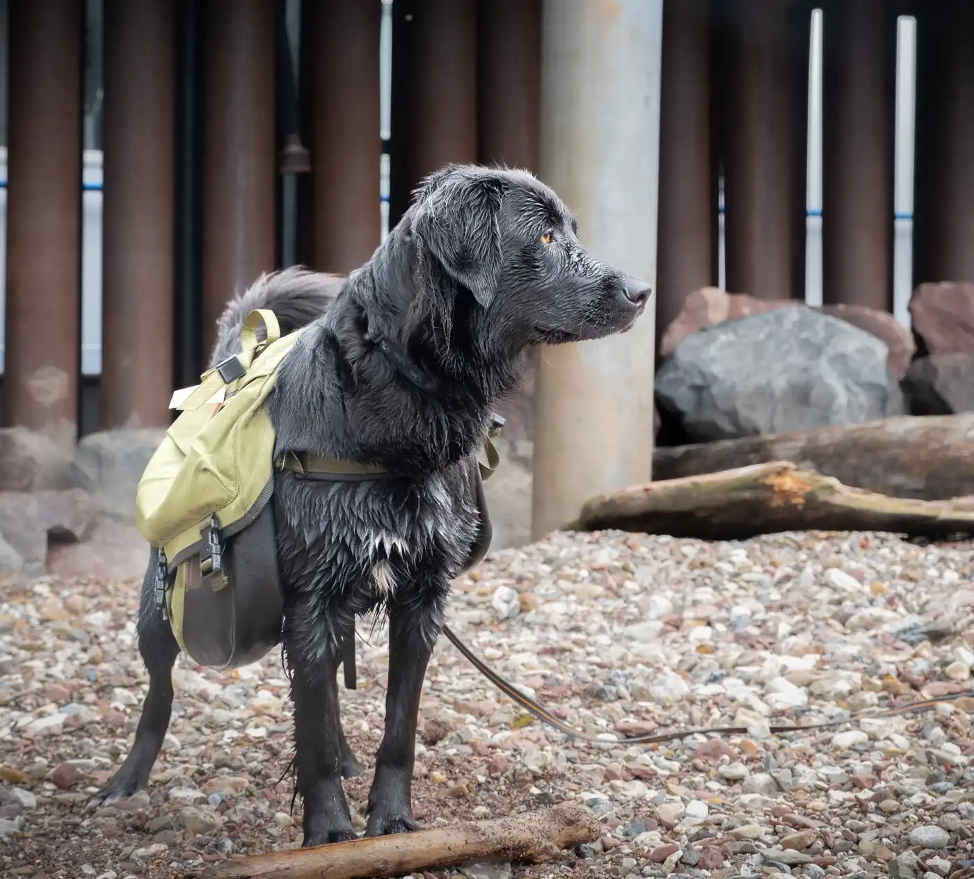 Leylu standing on the beach with her backpack on